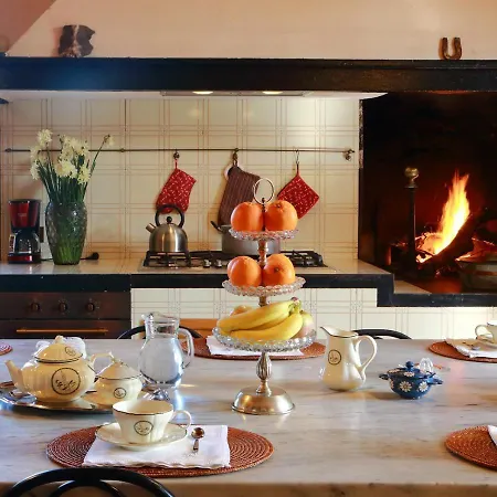 Bed & Breakfast La Piccioncina Firenze