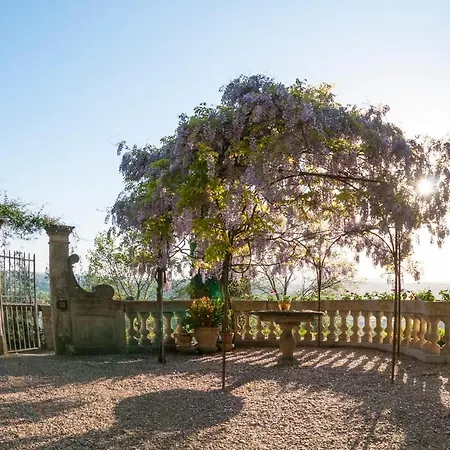 La Piccioncina Bed and breakfast *
